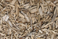 biomass boilers Woodspeen
