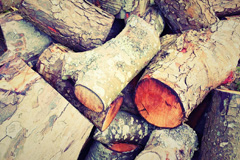 Woodspeen wood burning boiler costs